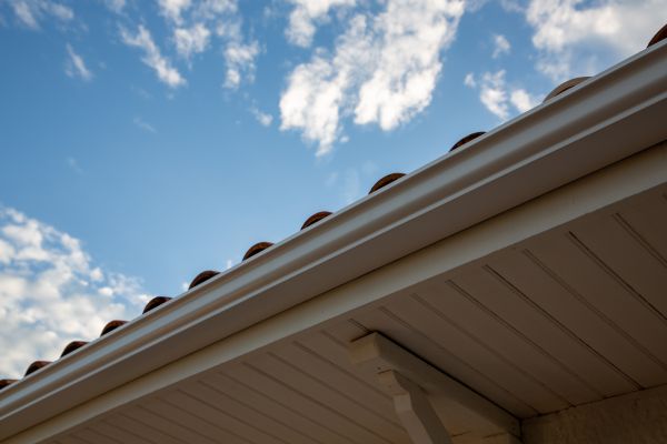 Cost of K Style Gutter Installation in Port Orange