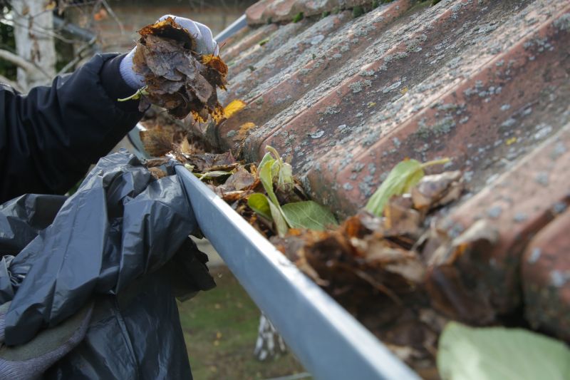 Gutter System Maintenance
