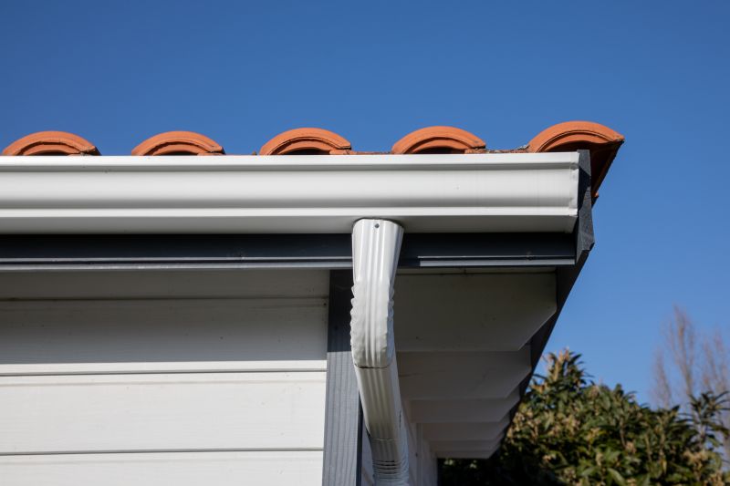 Gutter and Roof Edge
